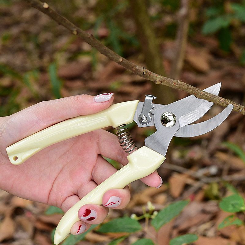 Gunting Pemangkas Taman Hemat  - Gardening Yard Tools ulasan dan harga