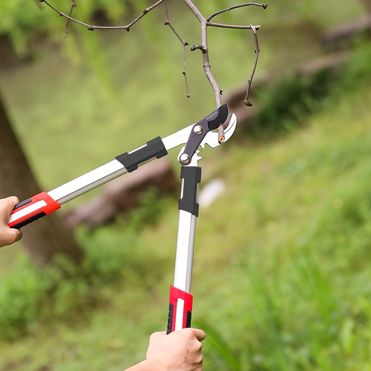 Gunting Pangkas Tugas Berat Ba - Gardening Tools To Cut Branches ulasan dan harga
