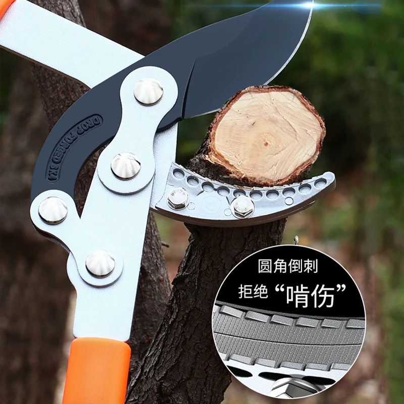 Gunting Panjang Panjang Pagar  - Gardening Tools German ulasan dan harga