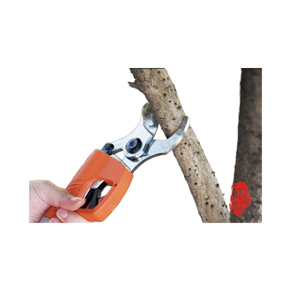 Alat Pemotong Taman Tanpa Kabe - Gardening Tools To Cut Branches ulasan dan harga
