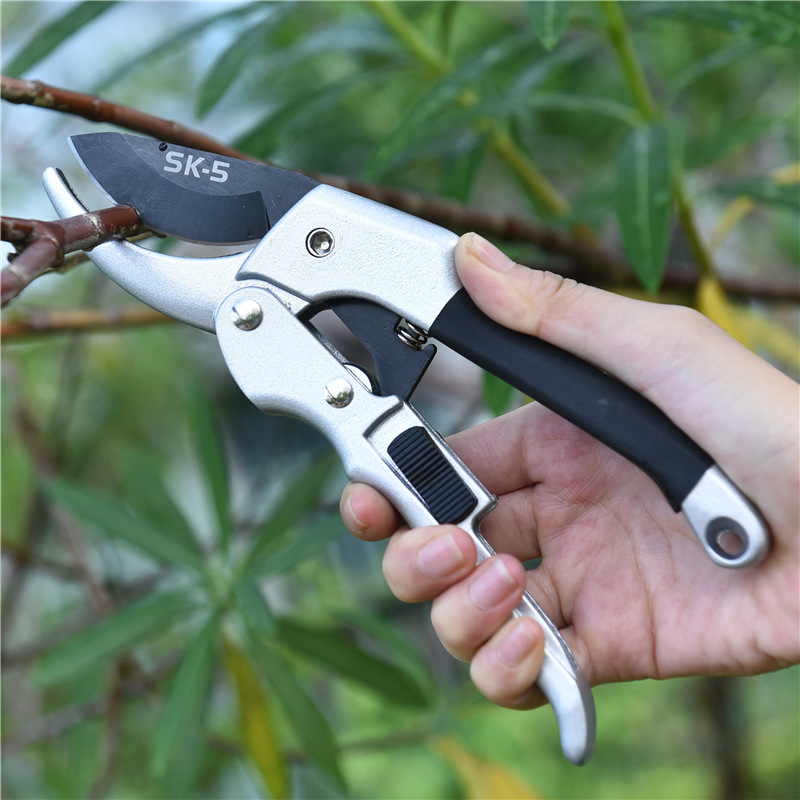 Baru 20cm gunting tanaman roda - Gardening Tools To Cut Branches ulasan dan harga