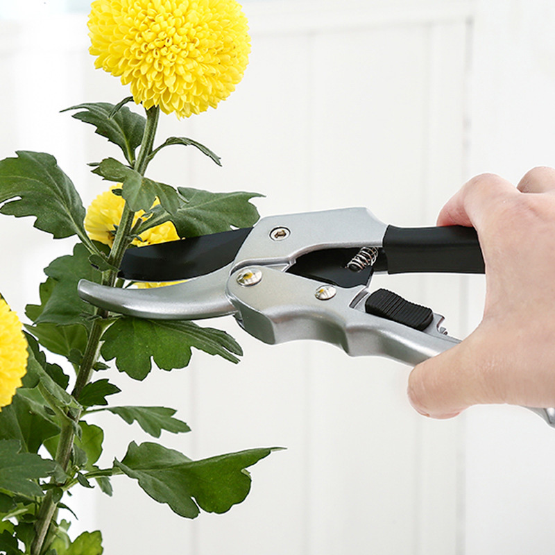 Baru 20cm gunting tanaman roda - Gardening Tools To Cut Branches ulasan dan harga